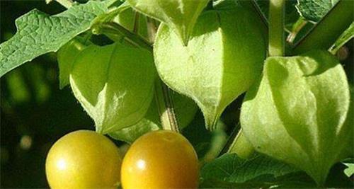 必一运动bsport体育