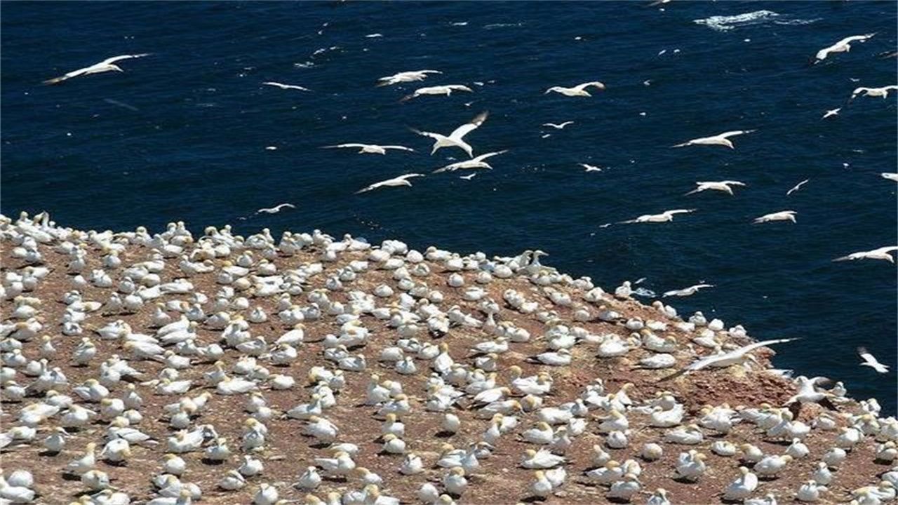 必一运动bsport体育