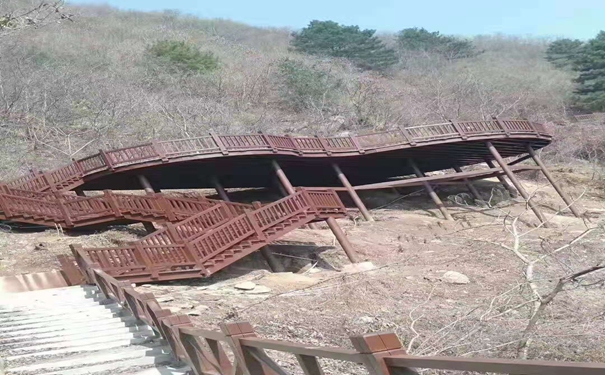 必一运动-“另类宠物”没人管折射城市管理漏洞(图1) bsports必一体育