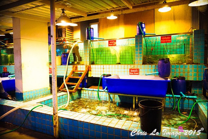 必一运动bsport体育