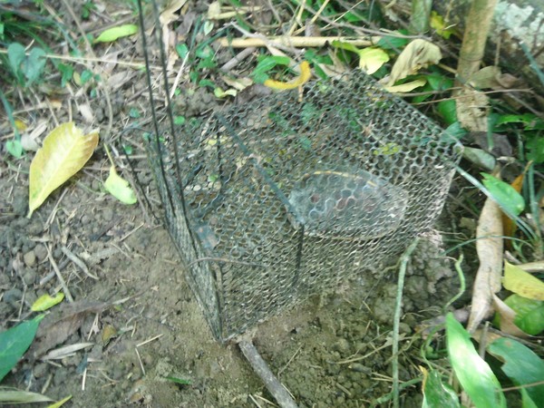 【必一运动】火王之破晓之战水神婳琤初现江湖,昊玥决定娶李盈为妻(图1) 必一运动bsport体育