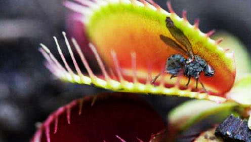 必一运动bsport体育