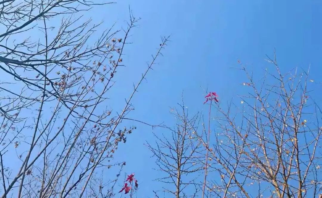 必一运动bsport体育