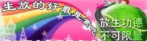 必一运动bsport体育