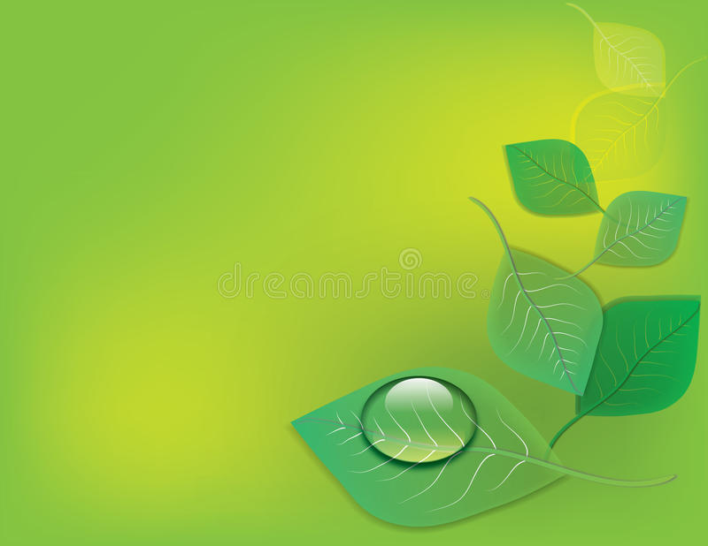 独步天下阿巴亥喜欢代善吗?阿巴亥最后结局是什么?|bsports必一体育(图1) 必一运动bsport体育