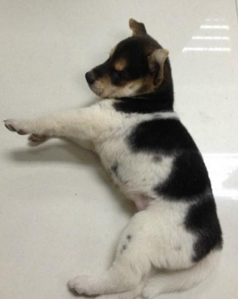 必一运动bsport体育