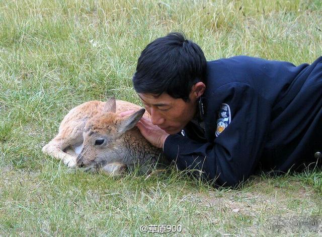 凰权弈天下什么时候开播?凰权弈天下具体开播时间_bsports必一体育(图4) 必一运动