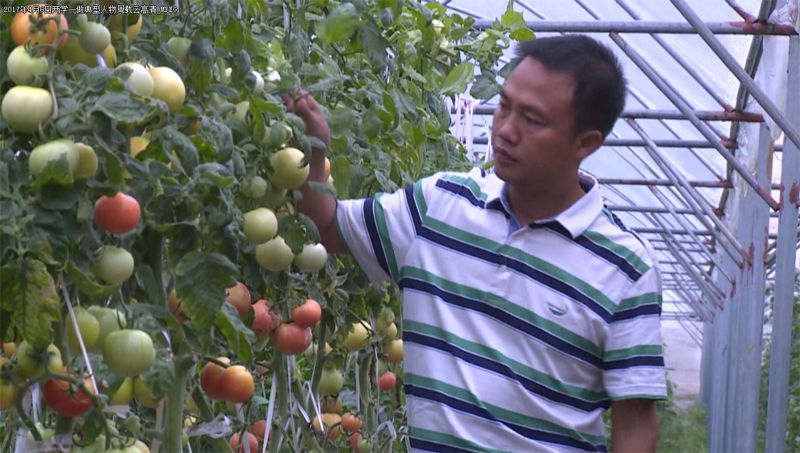 必一运动bsport体育