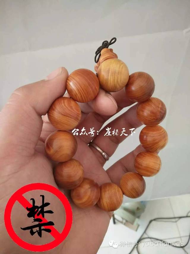 必一运动bsport体育|《神犬小七3》问题家庭重拾温暖 救援队兵分两路寻爱犬(图1) 必一运动